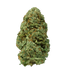 Bermuda Triangle Indoor High THCA Cannabis Flower